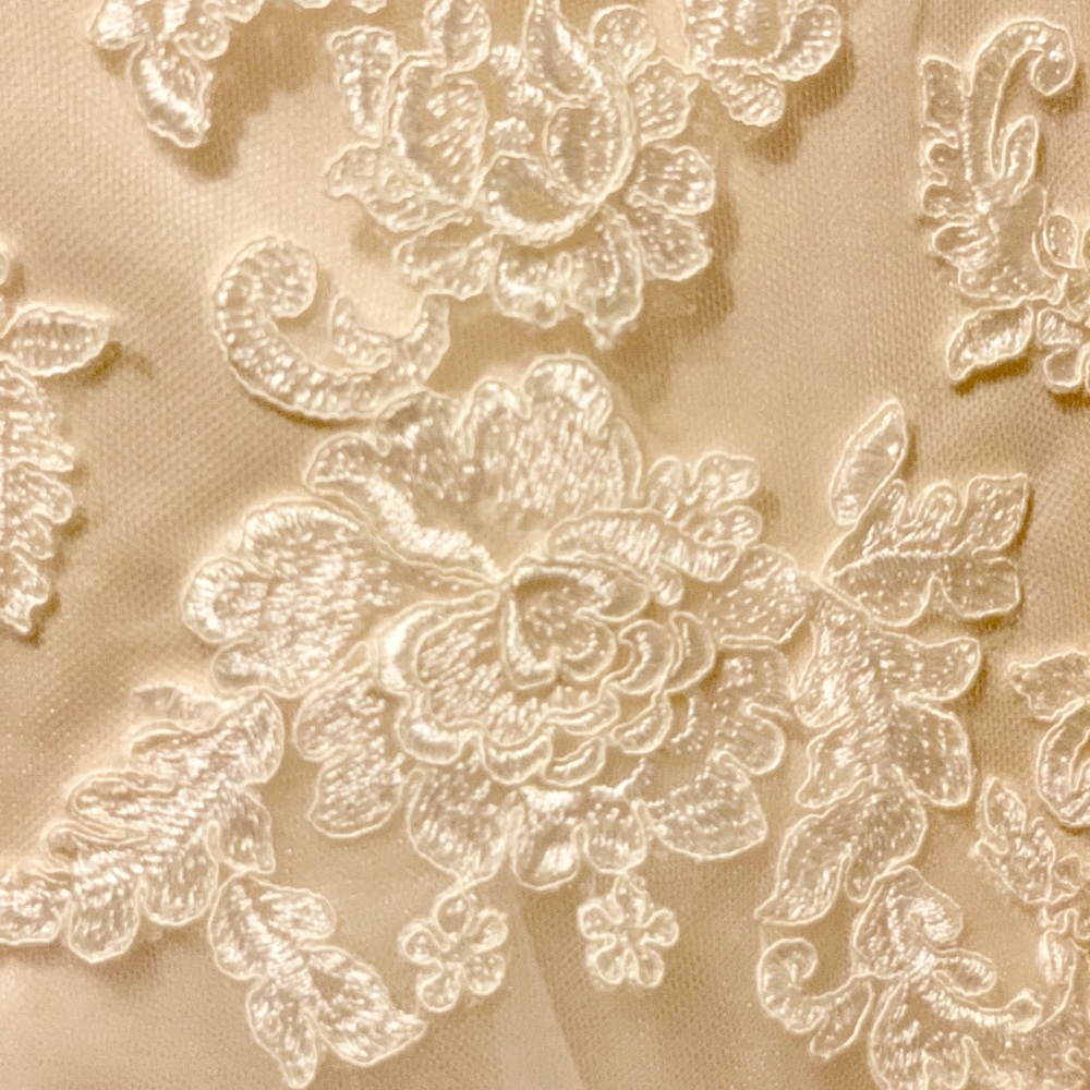 Never Worn Champagne-Colored Lace Wedding Dress